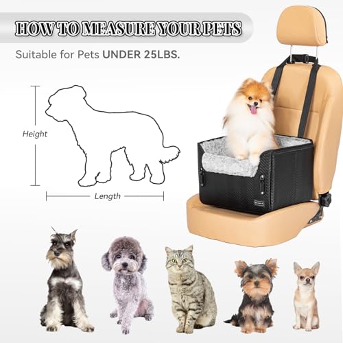 Small Dog Car Seat