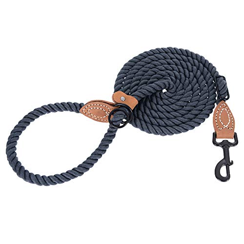 Hands Free Dog Leash (Blue Green / 8FT Hands Free)