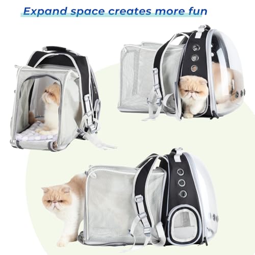 Cat Carrier Backpack (Square Back Expandable-Black)