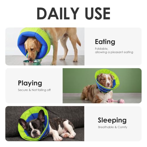 Large Dog Cone Collar (BlueGreen / X-Large)