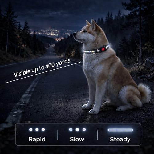 LED Dog Collar & 4 Foot Leash (Yellow)