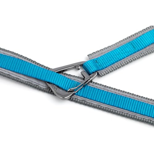 Quantum 6 in 1 Dog Leash (Violet)