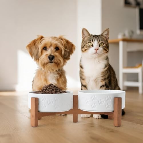 Ceramic Elevated Dog Bowl Set with Acacia Wood Stand for Food and Water for Cats and Small Dogs (13.52 Oz / Dog Paw White)