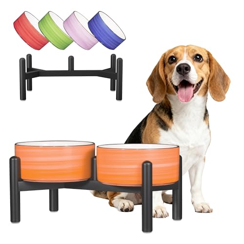 Ceramic Elevated Dog Bowl Set (Thread Orange / 3.5 Cups)