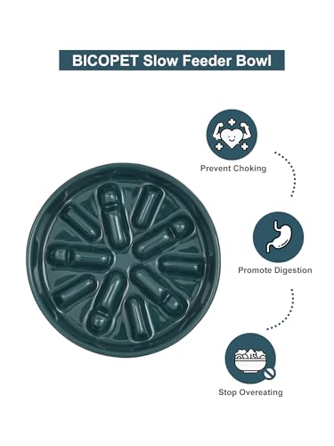 Ceramic Slow Feeder Dog Bowl (Lights-Blue / Medium)