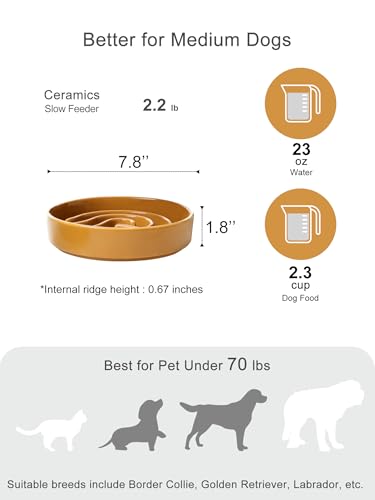 Ceramic Slow Feeder Dog Bowl (Waves-Orange / Medium)