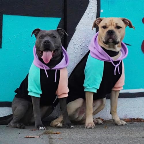 Dog Hoodie Buttery (Cyber Punk / 3XL)