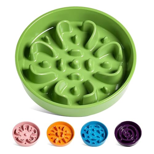Slow Feeder Dog Bowls Ceramic (Clover Green / L-3 Cups)