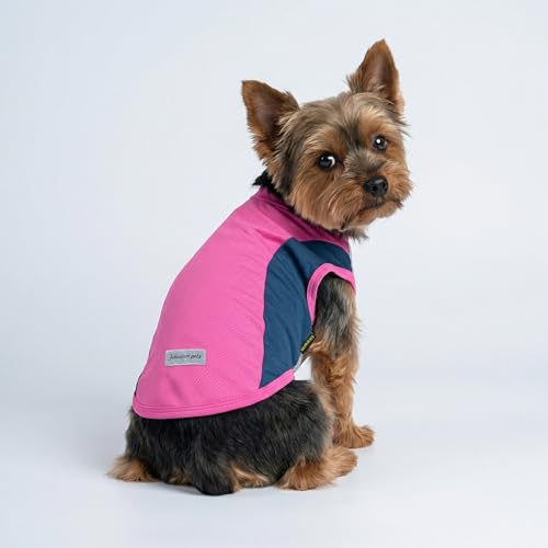 2 Pack UPF 50+ UV Sun Protection Dog Shirt (X-Small / Rose Red-Pink)