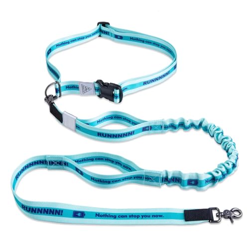Hands Free Dog Leash (Aqua Blue)