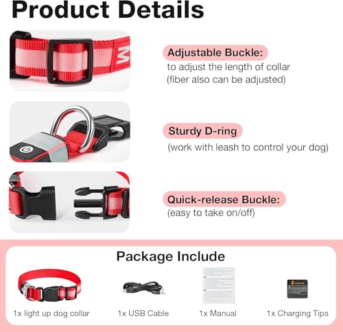 Light up Dog Collar (Red / L(19 inch-23.6 inch))
