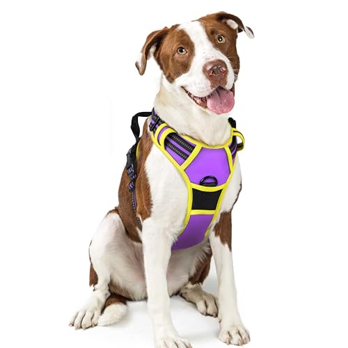 Dog Harness No Pull with 2 Leash Clips (Large / Purple & Yellow)
