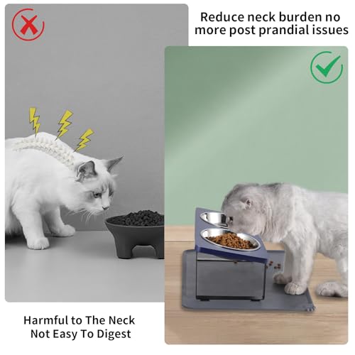 Upgraded Elevated Cat Bowls with Food Mat