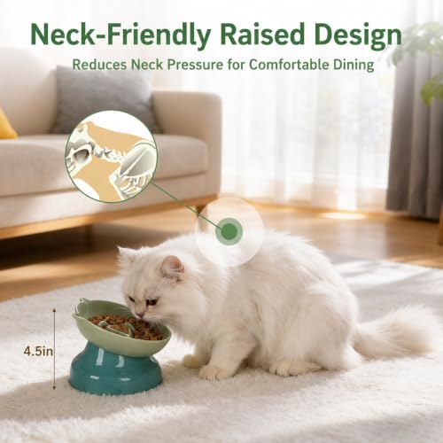 Ceramic Slow Feeder Cat Bowl (Green)