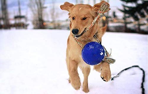 Romp-N-Roll Rope & Ball Dog Toy, 6 in Medium, Blue (Blue / Medium (6 in))