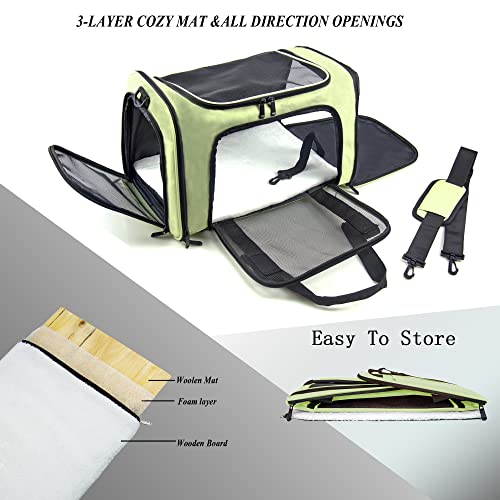 Soft Sided Carrier for Small Medium Cats Dogs (20.0"L x 13.0"W x 13.0"H / Green)