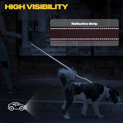 10 FT Heavy Duty Dog Leash (10 Feet (Pack of 1) / Pink)