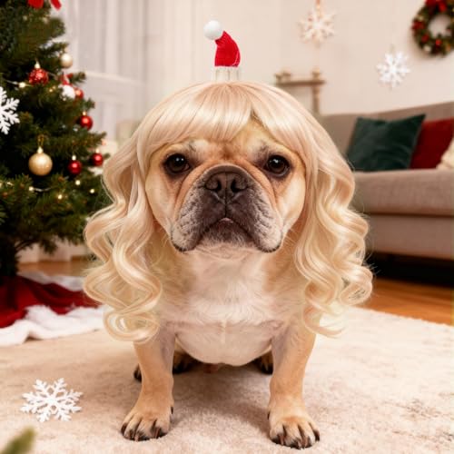 Dog Costume Long Blonde CurlyWigs with Small Red Christmas Hat StylingCute Funny Pet Costumes AccessoriesDecoration for Halloween (Gold Curly Wig)