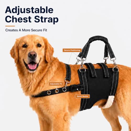 Dog Lift Harness for Large Dogs (Large)