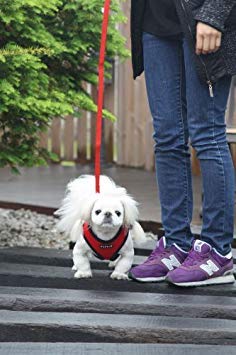 Soft Dog Harness No Choke Over (Green / XX-Large)