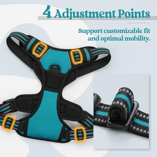 Dog Harness No Pull with 2 Leash Clips (Large / Teal)