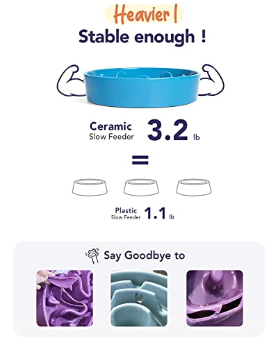 Ceramic Slow Feeder Dog Bowls for Small and Medium Breed (Vortex Blue+Stand / M-1.5 Cups)