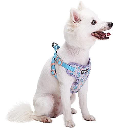 Soft & Comfy Made Well Lovely Floral No Pull Mesh Puppy Dog Harness Vest in Lavender ((14" - 16") Chest Girth (Pack of 1) / Lavender)