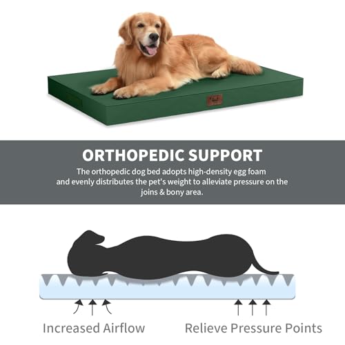 Jumbo Waterproof Orthopedic Dog Bed for Extra Large Dogs (Dark Green / 53.0"L x 36.0"W x 4.0"Th)