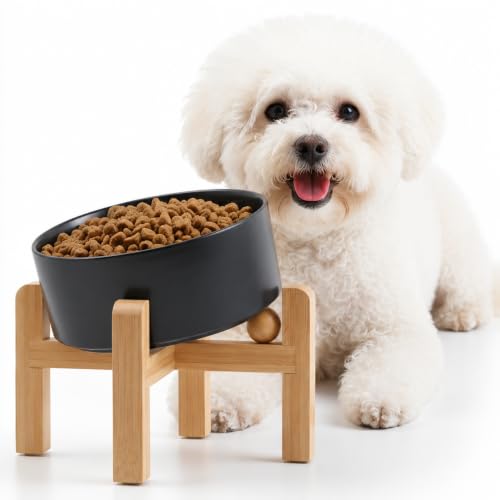 Black Raised Elevated 15°Slanted Ceramic Dog Bowl for Small Breeds (Black / 1.7 CUPS - Puppy/Small Dogs & Cat Bowls)