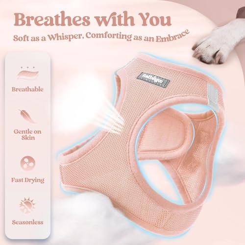 Dog Harness Medium Sized and Leash Set (Pink / Xxl (chest: 21.6 - 23.7"))