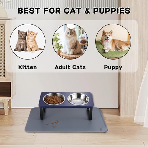 Upgraded Elevated Cat Bowls with Food Mat