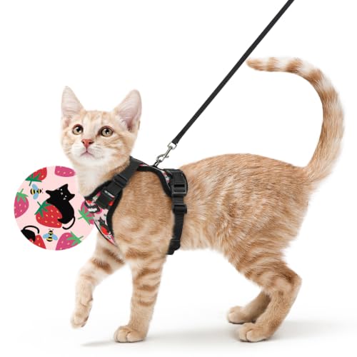 Cat Harness and Leash Set (Xs / Berry Pounce)