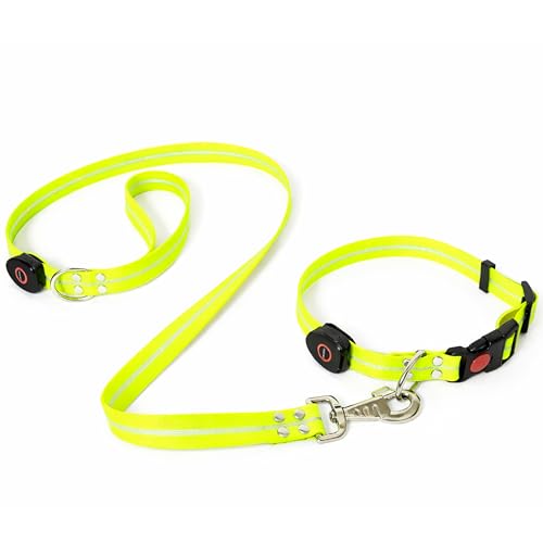 LED Dog Collar & 4 Foot Leash (Yellow)