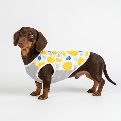 2 Pack Ice Lemon UPF 50+ UV Sun Protection Dog Shirt (Small / Ice & Lemon)