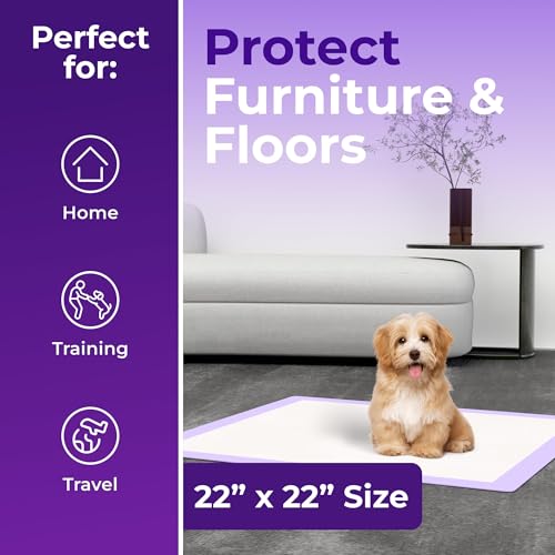 Pee Pads Super Absorbent & Leak (Purple / 80 Pack - 22x22)