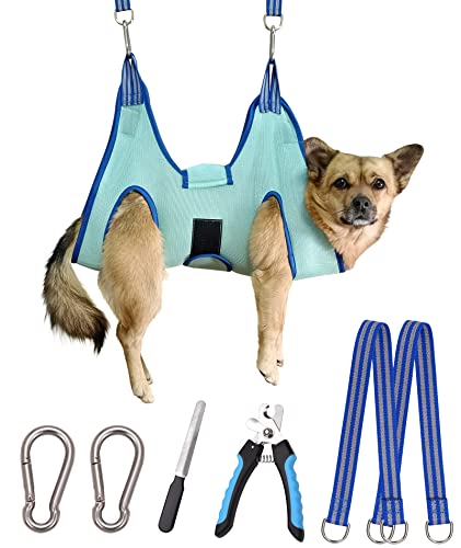Dog Pet Grooming Hammock (Small 24 LB Max/Turquoise)