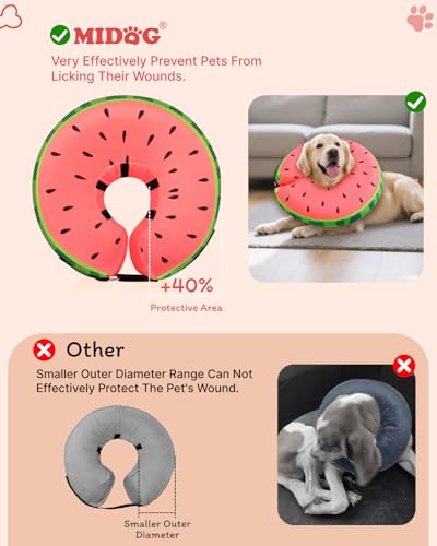 Inflatable Dog Cone (Red / S(9"-10"))