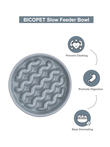 Ceramic Slow Feeder Dog Bowl (Macroni-Ice Blue / Medium)