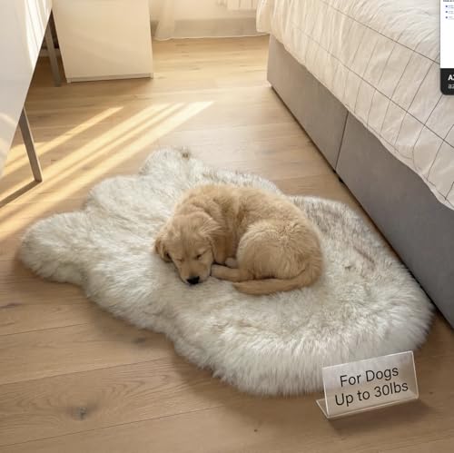 Faux Fur Orthopedic Dog Bed (White w/ Brown Tips / Small)