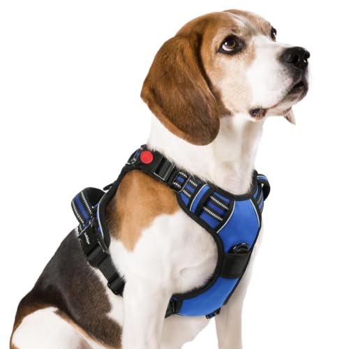 Dog Harness Medium Sized (Medium / Blue)