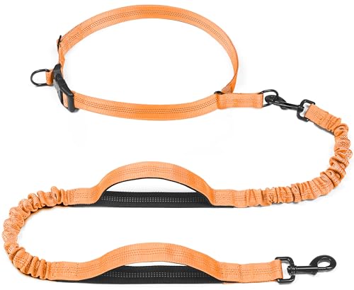 Retractable Hands Free Dog Leash (Orange / Medium/Large)