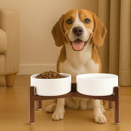 Raised Ceramic Dog Bowls Set with Non (42.27 Oz / White)