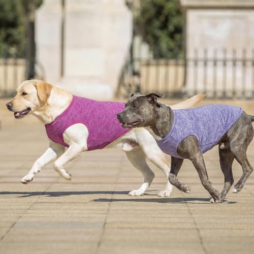 2Pack Dog Shirt for Large Dogs Sun Protection Tank Top for Summer (XXX-Large (55-75lbs) / 2# 2Pack (Purple+Pink))