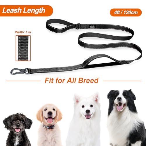 4FT 1IN Heavy Duty Dog Leash for Large Dogs with 2 Padded Handles (Black / 1 in x 4 ft)