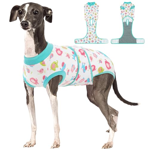 Dog Recovery Suit (Mint Green / Large)