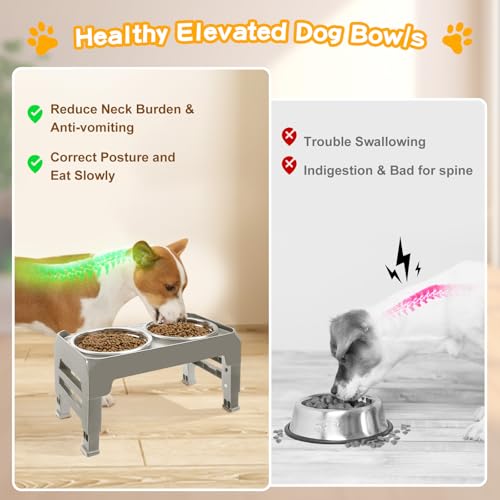 Elevated Dog Bowls for Small Dogs 3 Height Adjustable Raised Dog Bowl Stand with 25oz Stainless Steel Food Bowls Anti (Light Brownish Gray / 6" for Small Dogs)