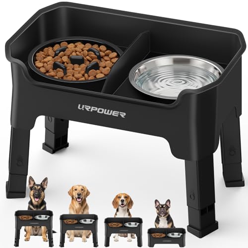 Mess Proof Elevated Dog Bowls (Matte Black / Large)