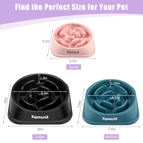 Slow Feeder Dog Bowls for Medium Dogs & Cats (Medium / Purple)