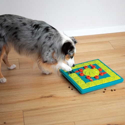 Nina Ottosson MultiPuzzle Dog Toy Treat Puzzle (Multipuzzle (Green) / 1 Count (Pack of 1))