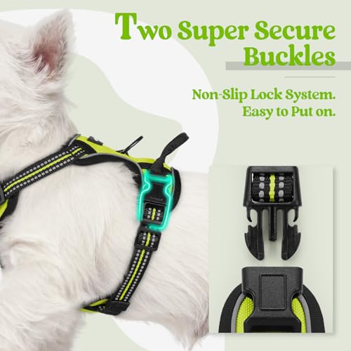 Dog Harness No Pull with 2 Leash Clips (X-Small / Wild Lime)
